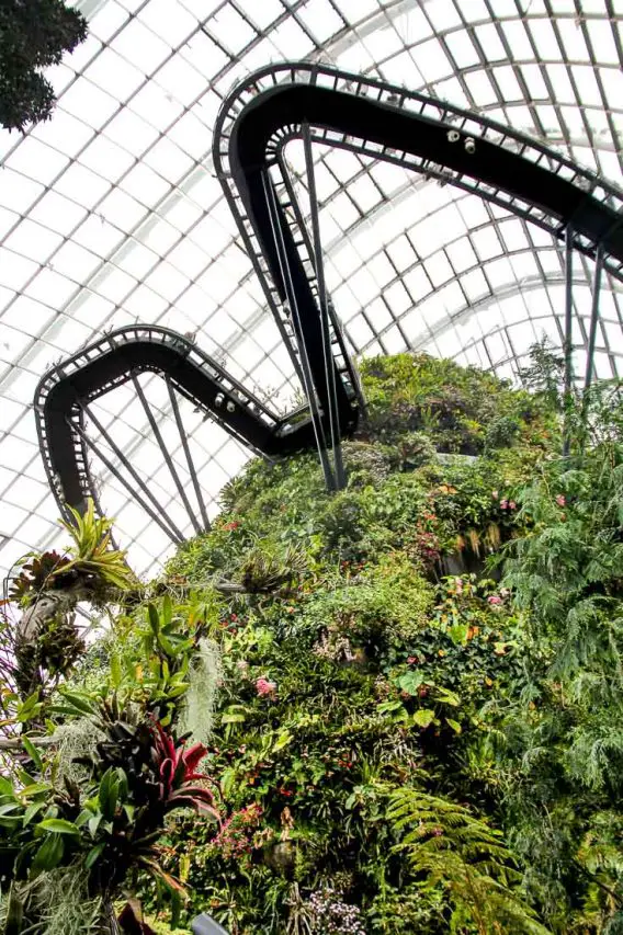Raised walkways leading to the top of the Cloud Forest, a conservatory