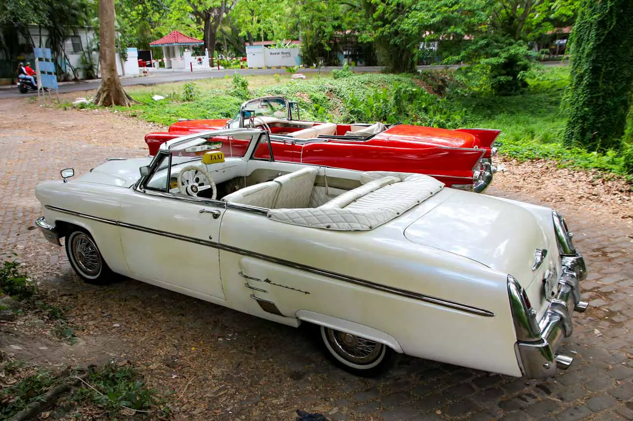 White Mercury and red Chevrolet convertibles parked in lush, green park