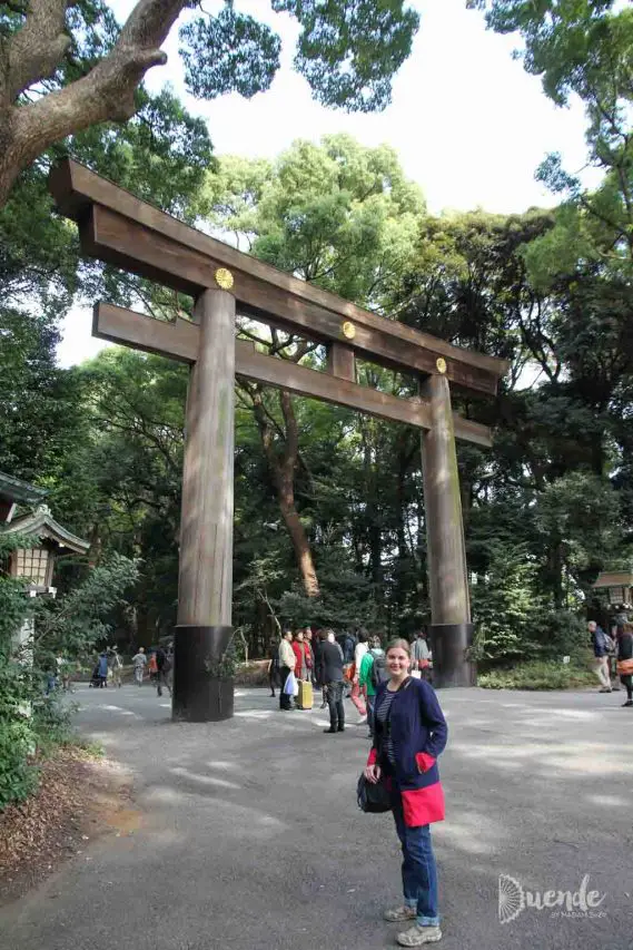 Tori Gate at Meiji Jingu (Meiji Shrine)
