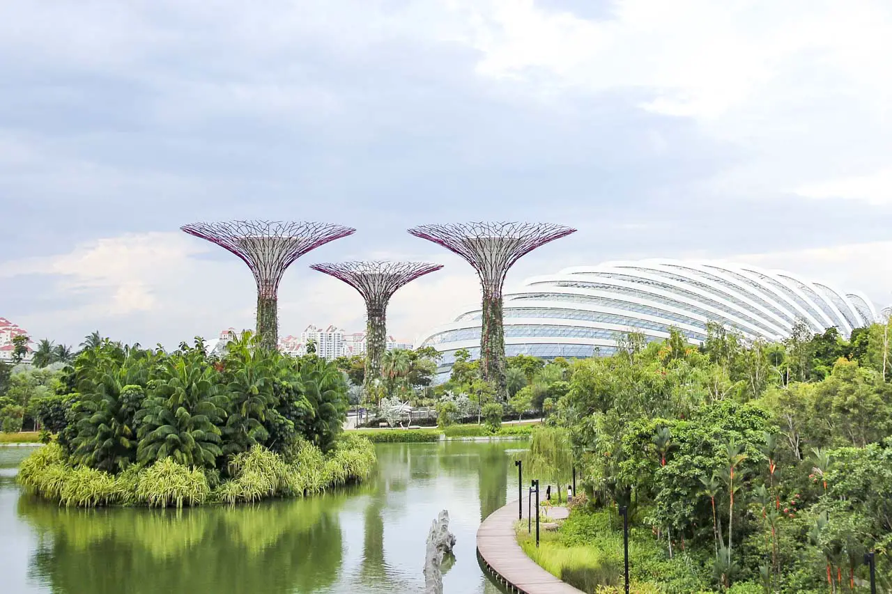 Photo of Supertrees and Conservatory at Gardens by the Bay
