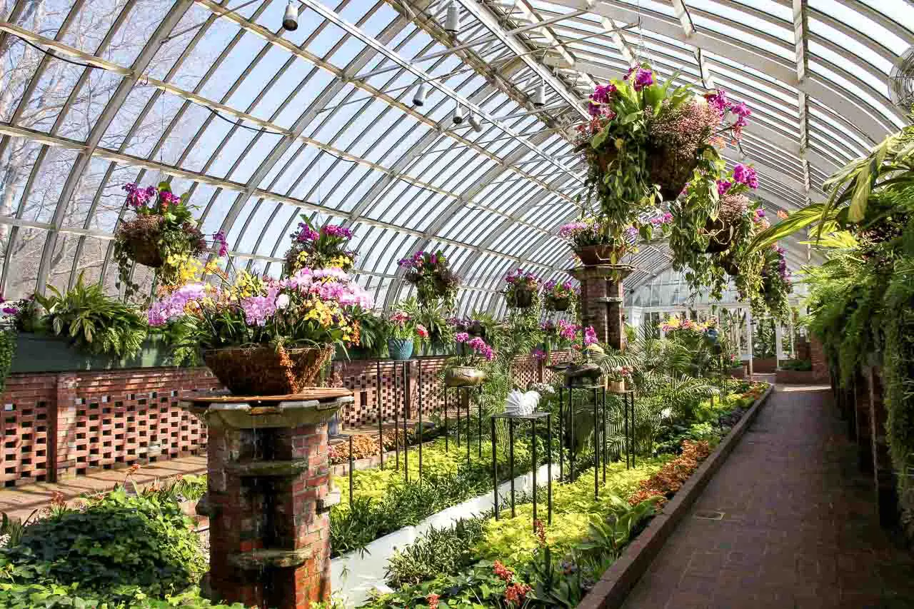 Inside Phipps conservatory, Pittsburgh during its spring orchid showcase