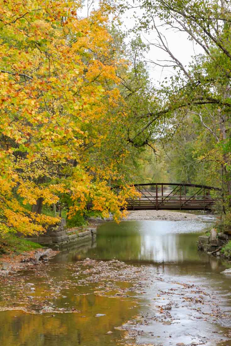Rust bridge crossing canal with yellow autumn leaves