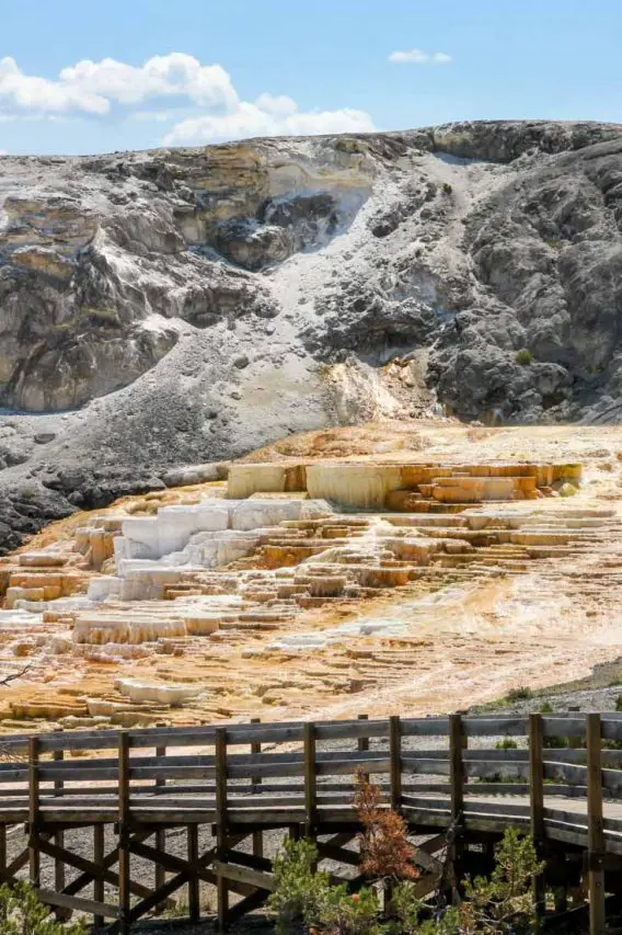 Travertine terraces at Mammoth Hot Springs with wooden boardwalk in foreground and blue sky in background.