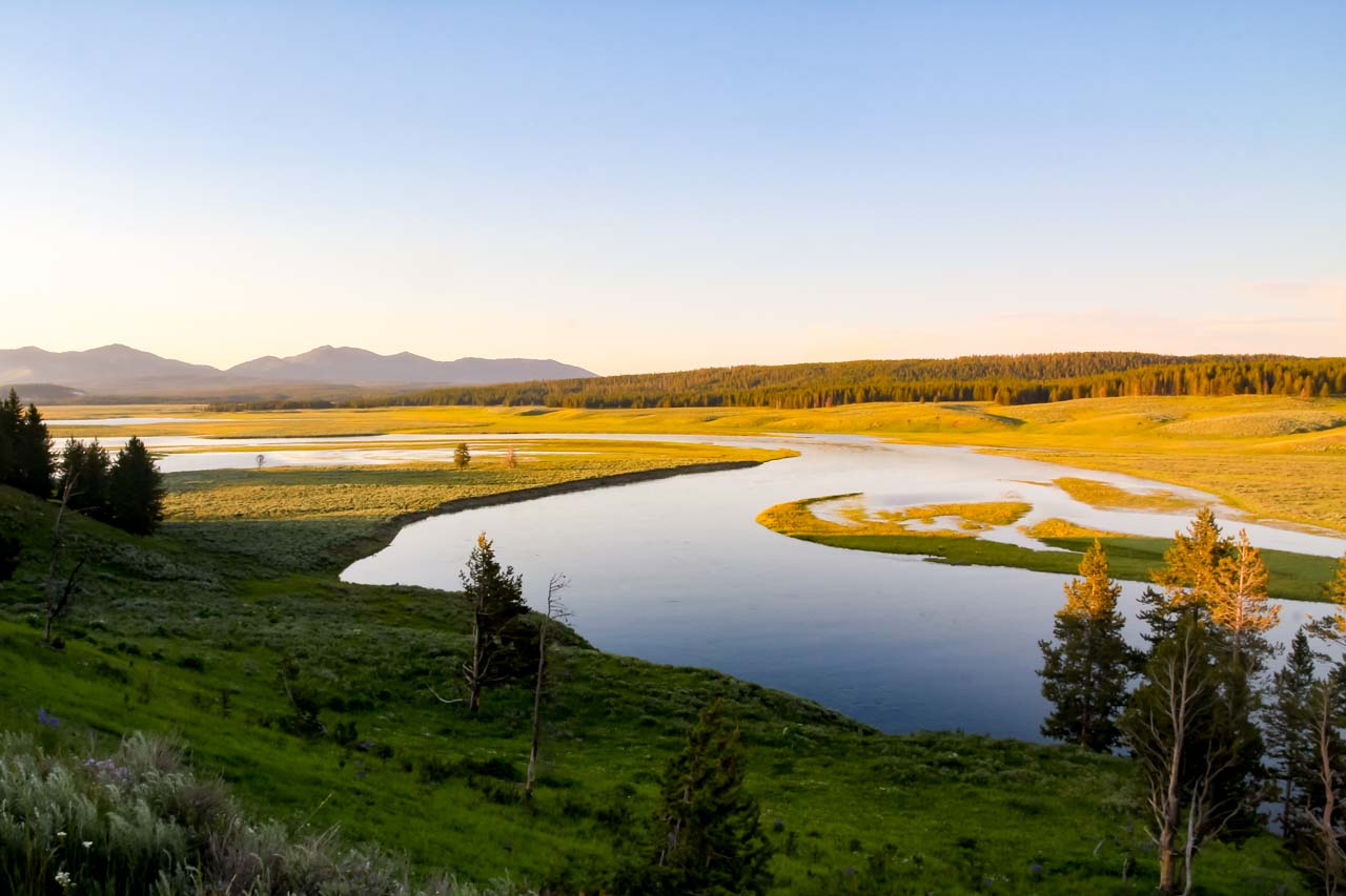 Hayden Valley in Yellowstone National Park at sunset