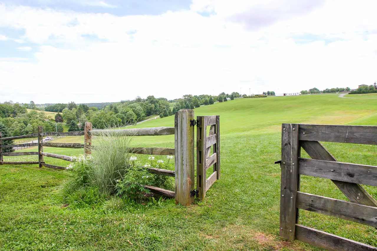 Photo of wooden fence with gate opening to a large, sloping, grassy field