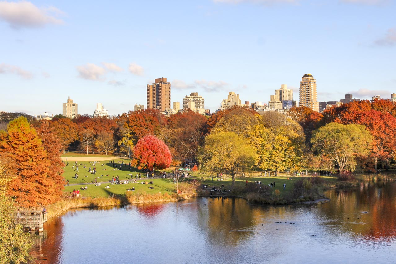 Autumn colour in Central Park