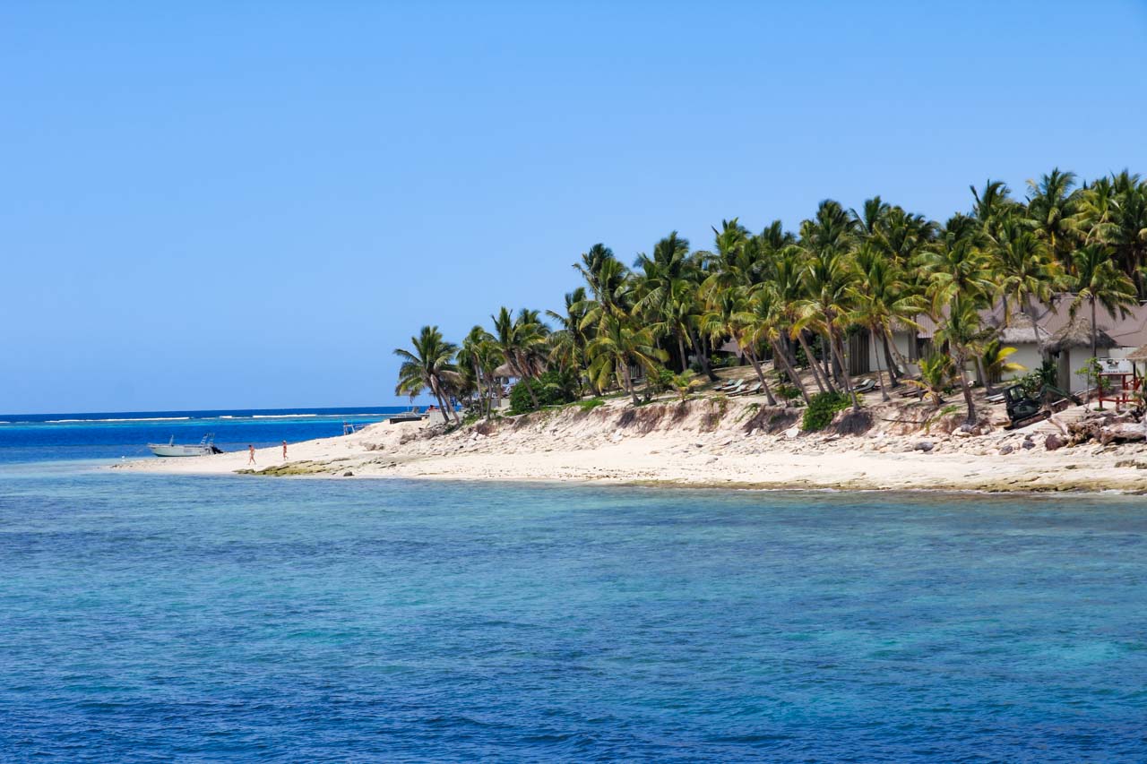 Shore of tropical beach with palm trees leading down to intensely blue water