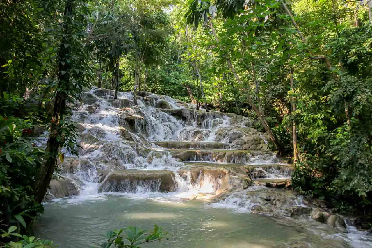 Photo of cascades in the jungle