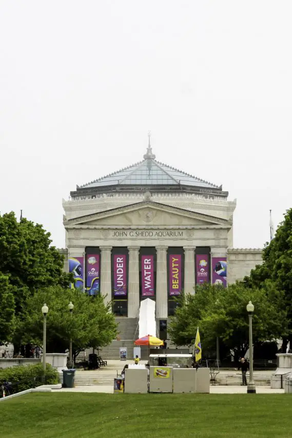 Beaux-arts building with large banners hanging in front