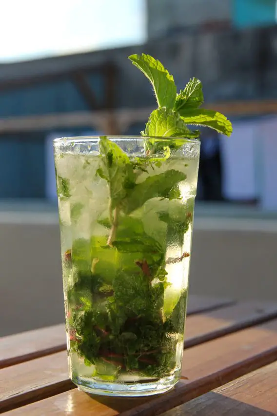 Mojito in tall glass with mint sprig on wooden table
