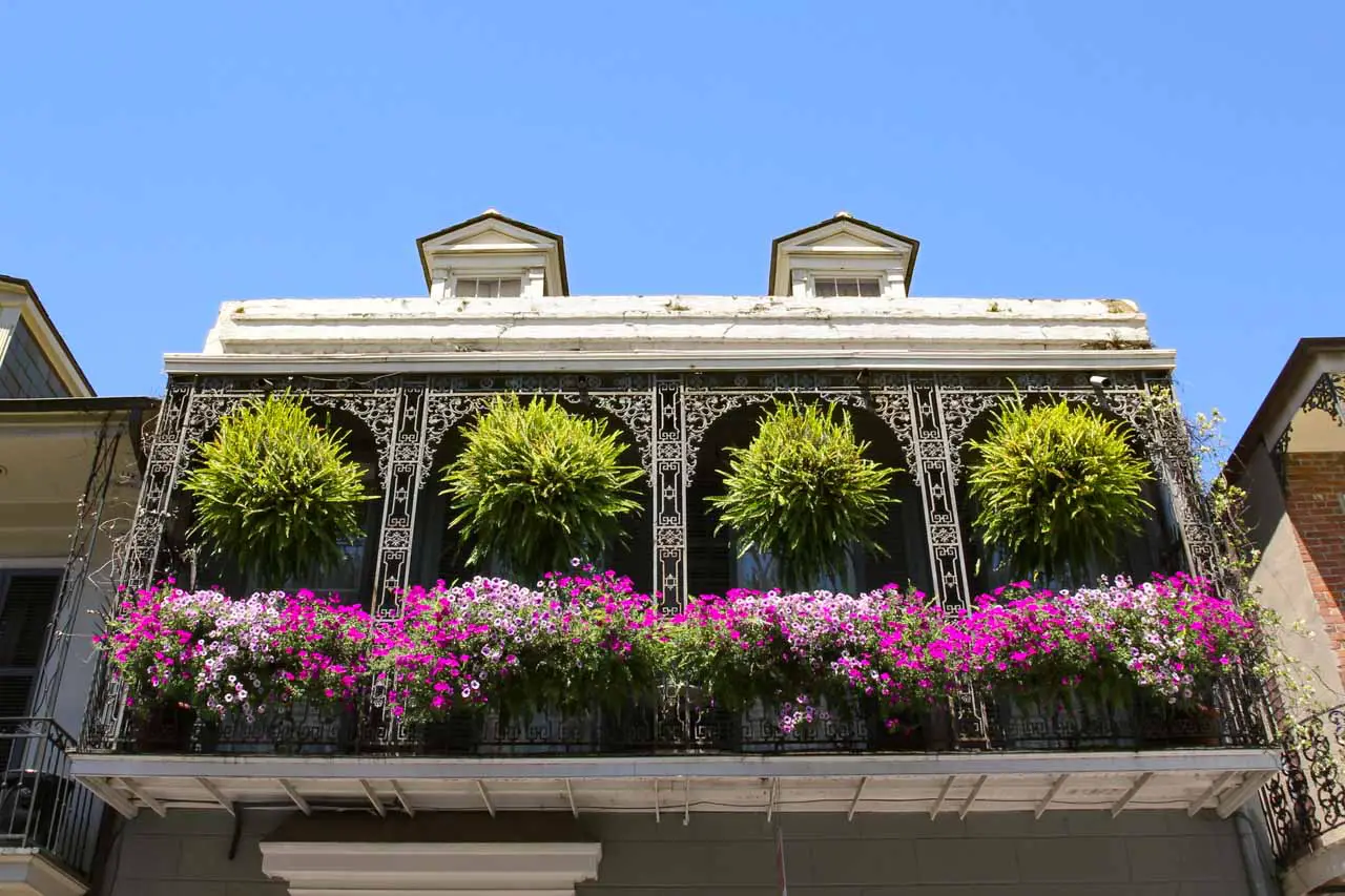 Wrought iron and flower box adorned balcony in the French Quarter