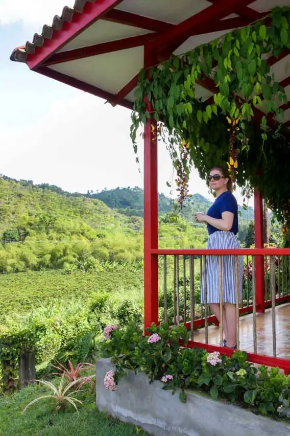 Woman holding coffee cup on red patio overlooking coffee plantation