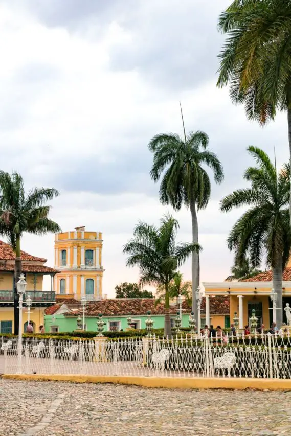 Plaza with palm trees and yellow tower in background