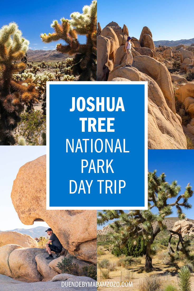 Various images of Joshua Tree National Park with title reading "Joshua Tree Nationl Park Day Trip"