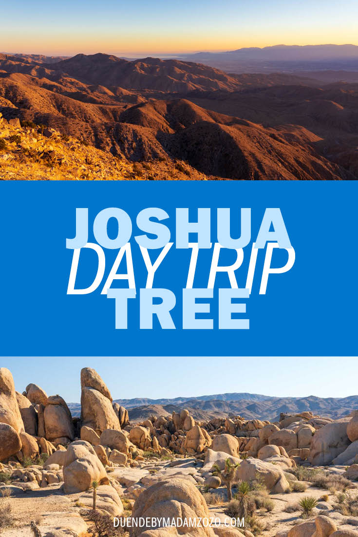 Images of landscapes in Joshua Tree National Park with title "Joshua Tree Day Trip