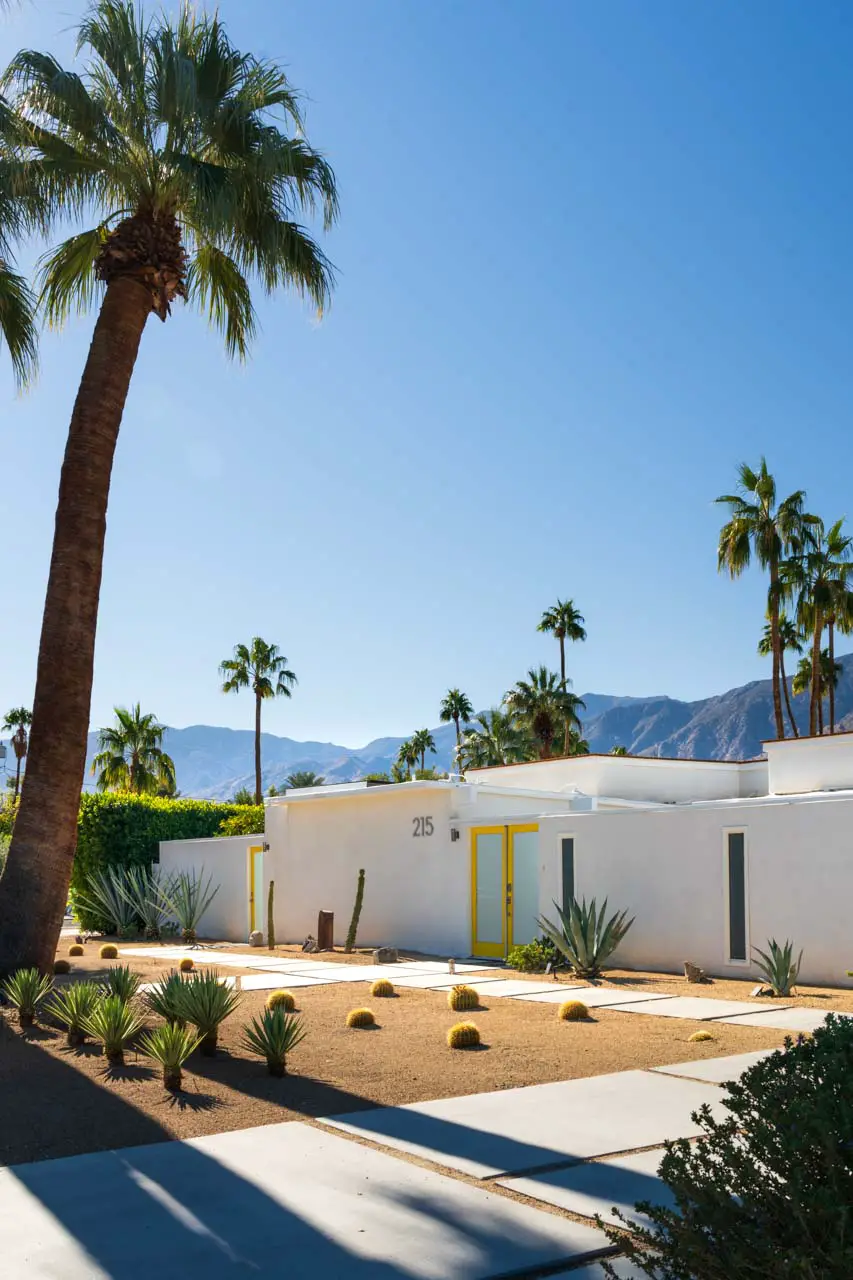 White home with yellow front door, and palm trees in front garden.