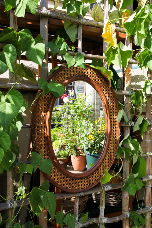 Oval mirror hanging on trellis and reflecting potted plants
