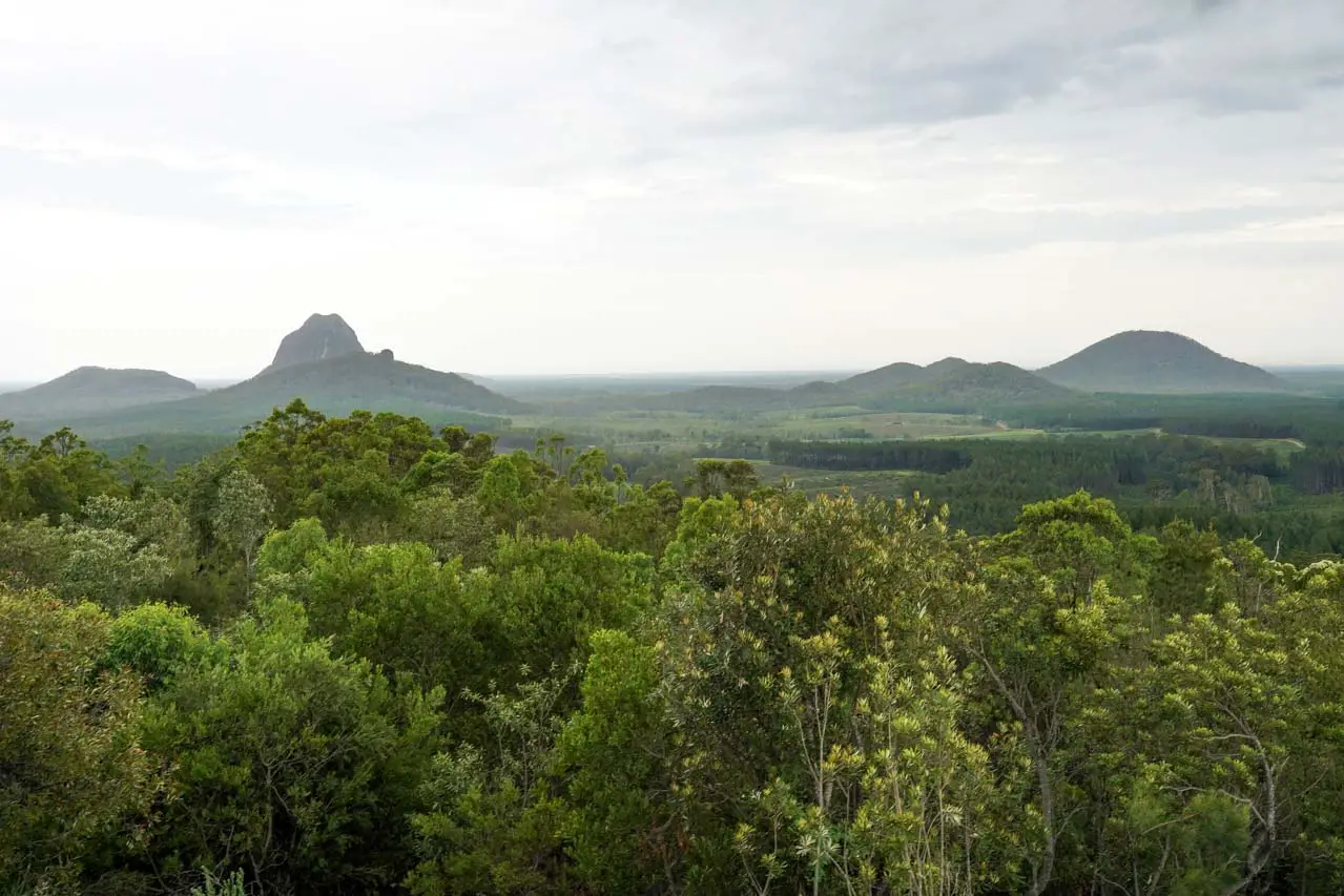 View of Glass House Mountains with lush green foliage in foreground