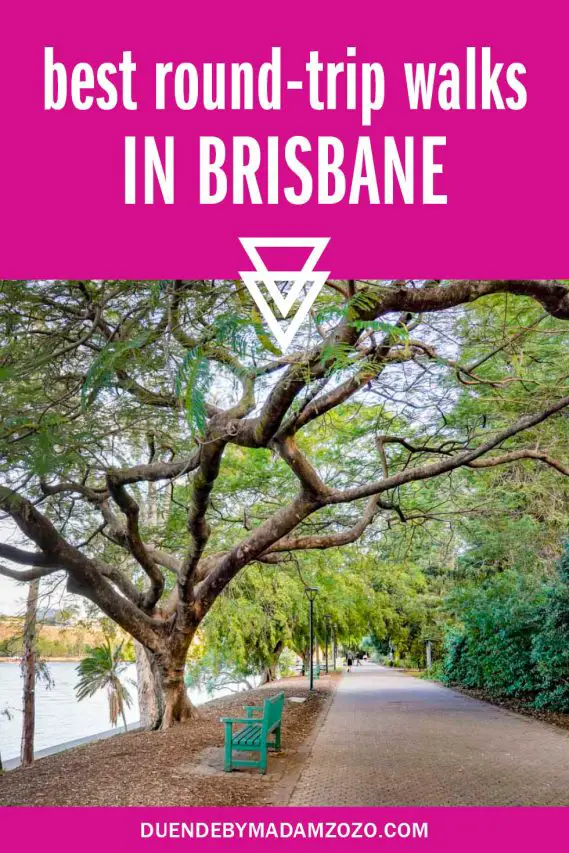 mage of riverside walking path with large trees providing shade with text overlay reading "best round-trip walks in Brisbane"