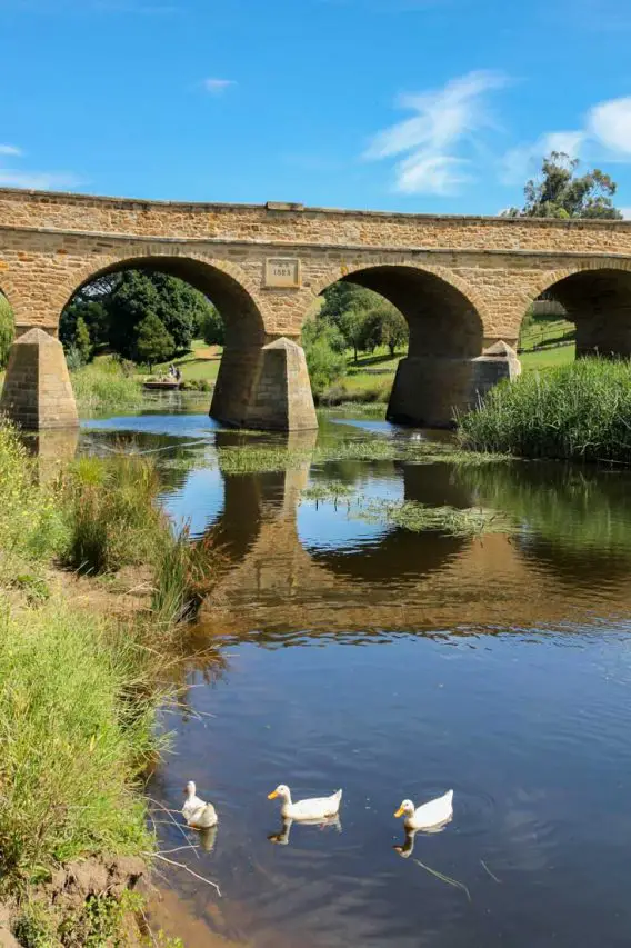 Sandstone bridge with river and ducks in foreground