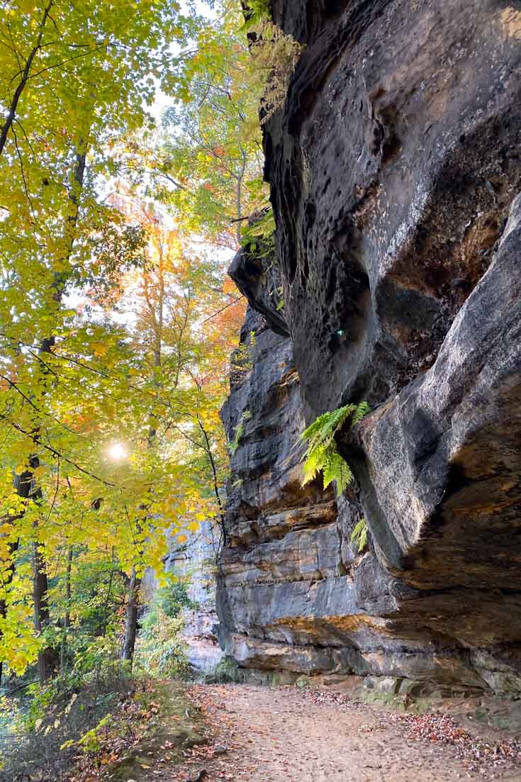 Hiking trail running between rocky bluff and trees showing signs of autumnal colour