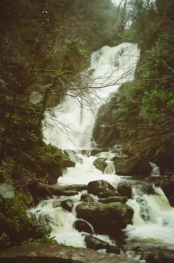 Gushing cascade down rocks in a forest