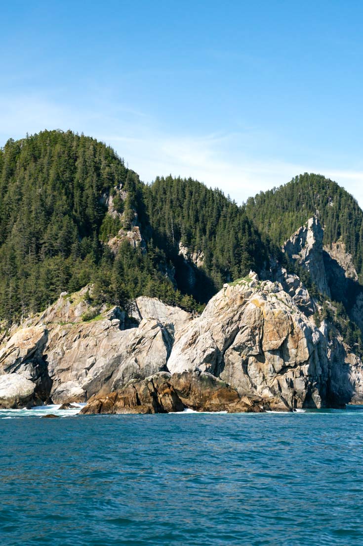 Rocky coastline topped by evergreen forest on a sunny day