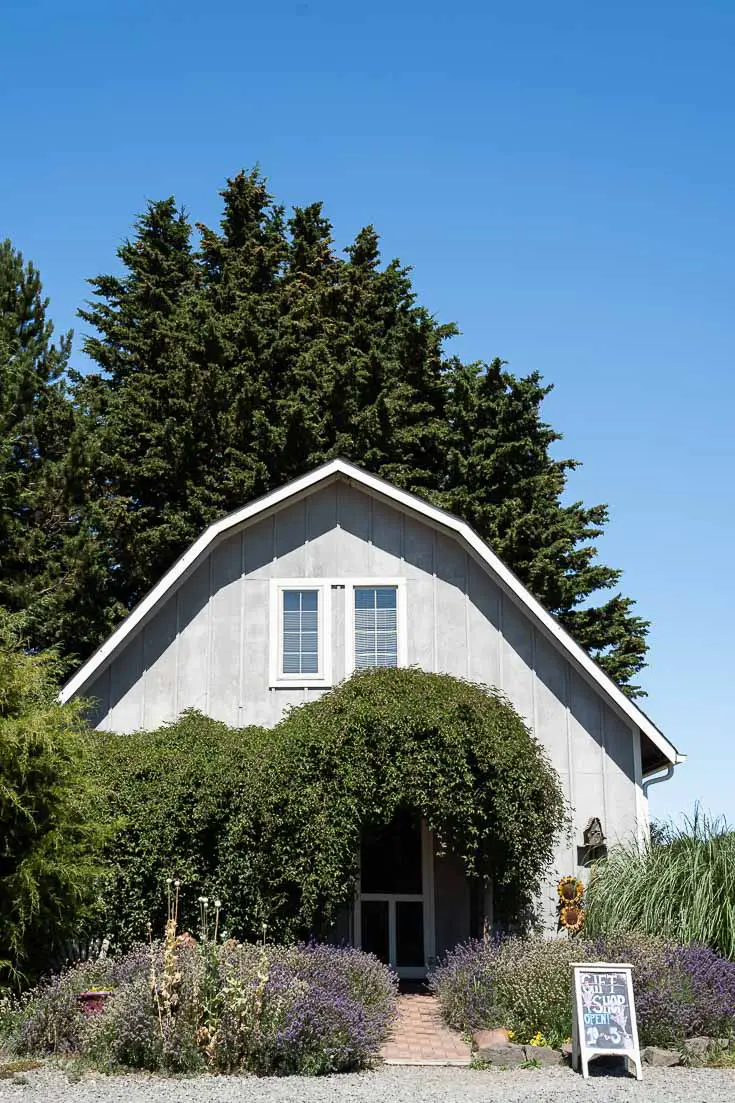 Cute barn surrounded by trees and hedges