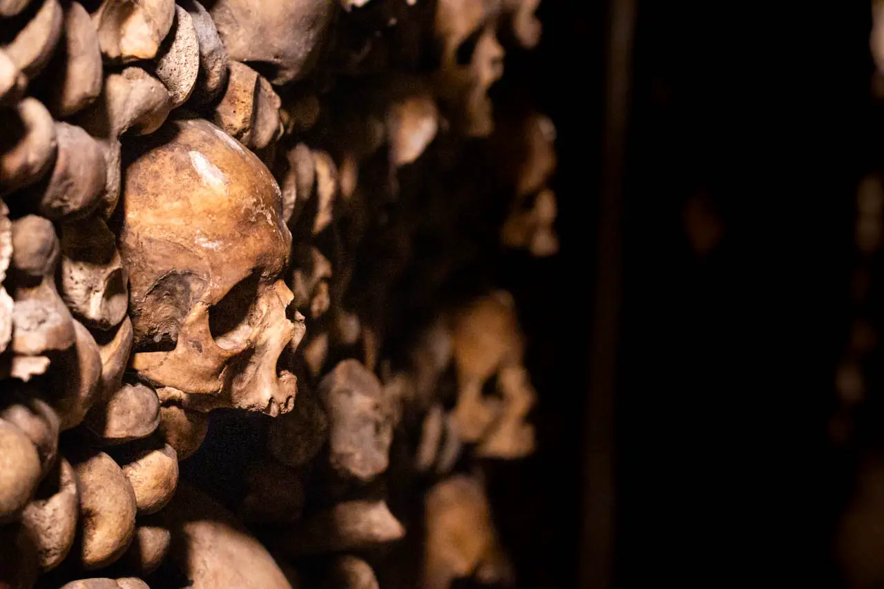 Skull sticking out from a wall of bones in the Paris Catacombs