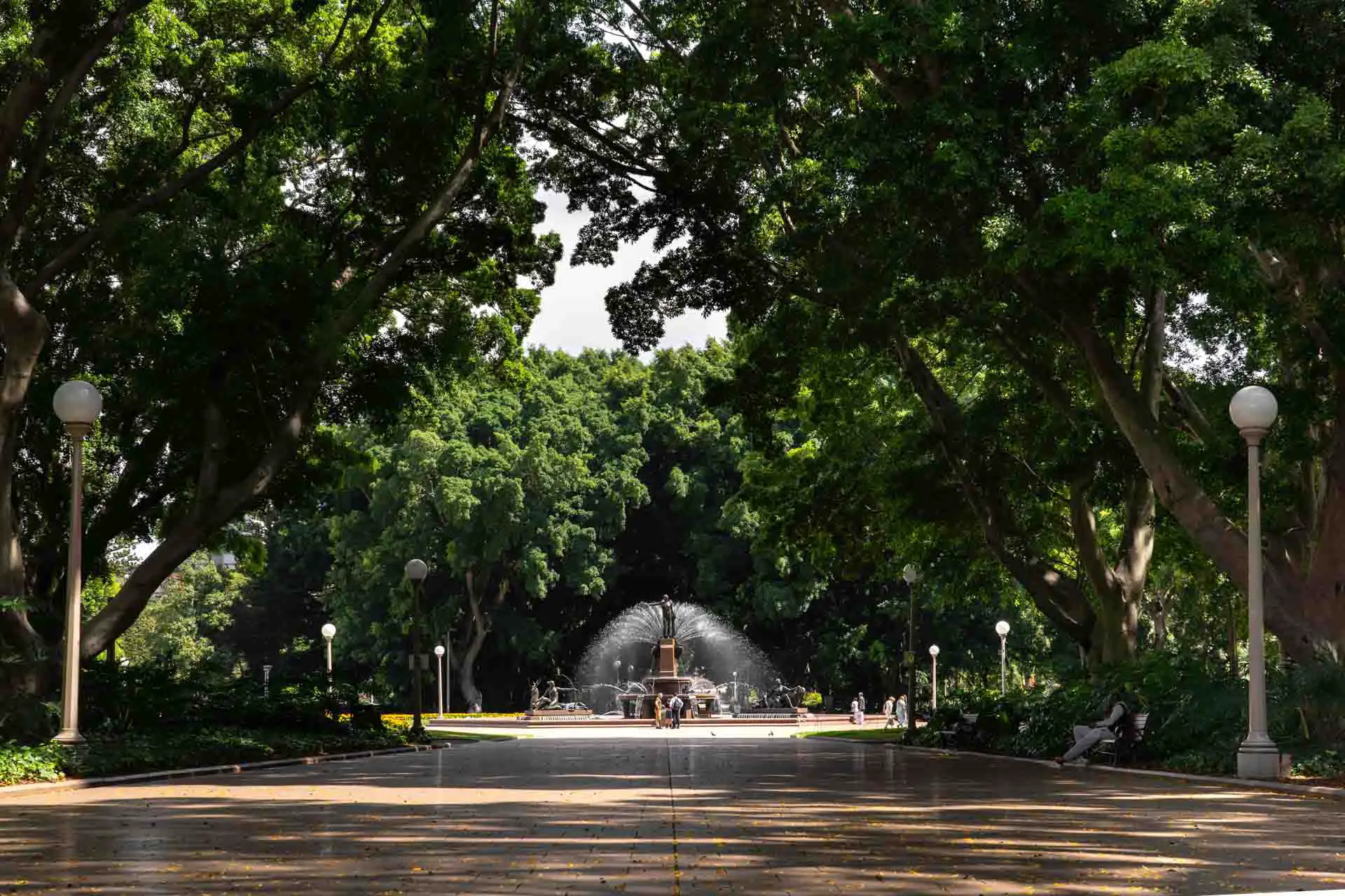 Archibald Memorial Fountain viewed down a walkway shaded by a canopy of trees in Hyde Park, Sydney