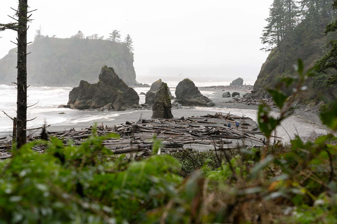 View over Ruby Beach from bluff, with sea stacks and piles of driftwood