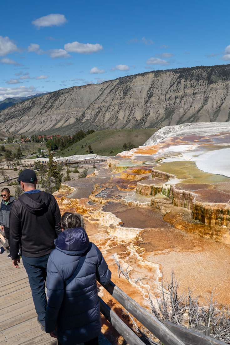 Travertine terraces at Mammoth Hot Springs with wooden boardwalk in foreground and mountains in background.