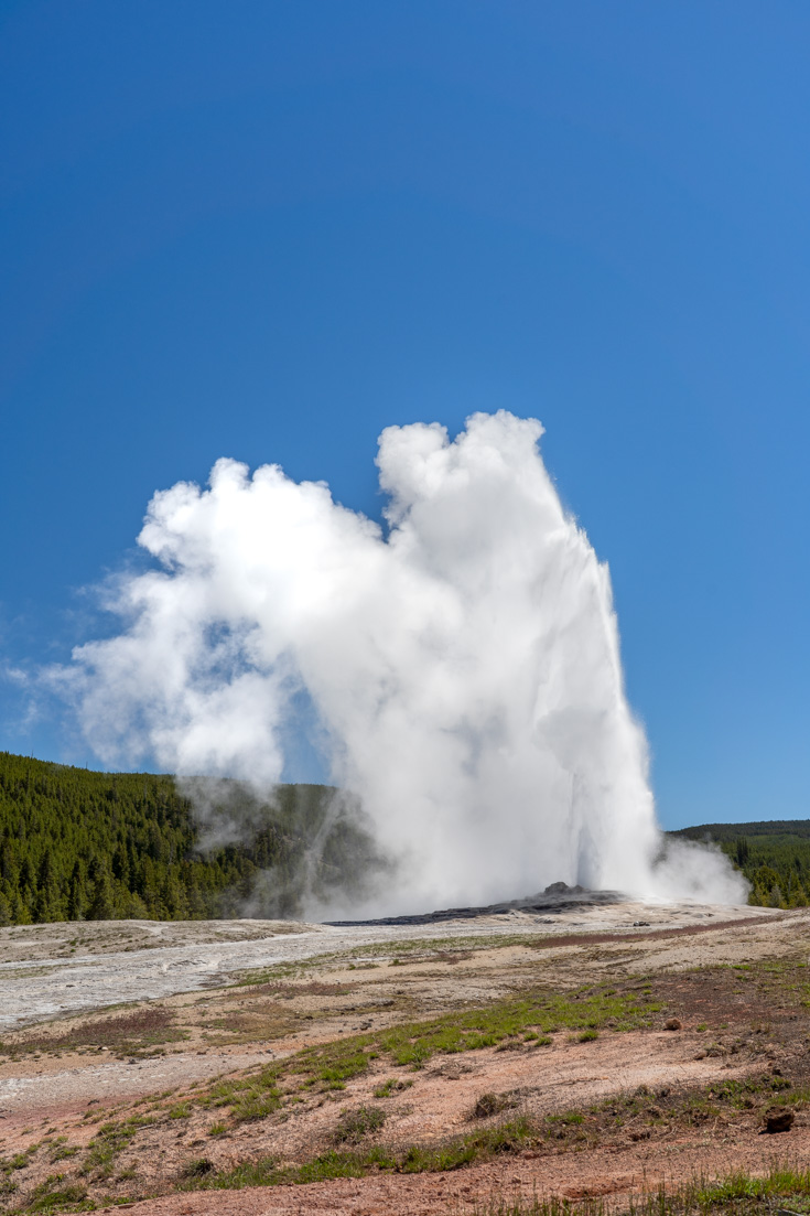 Old Faithful bursting into action against a blue sky