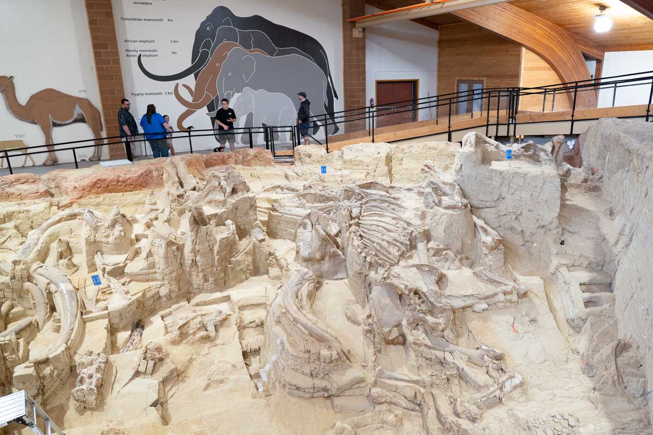 Paleontological dig with visitors in background