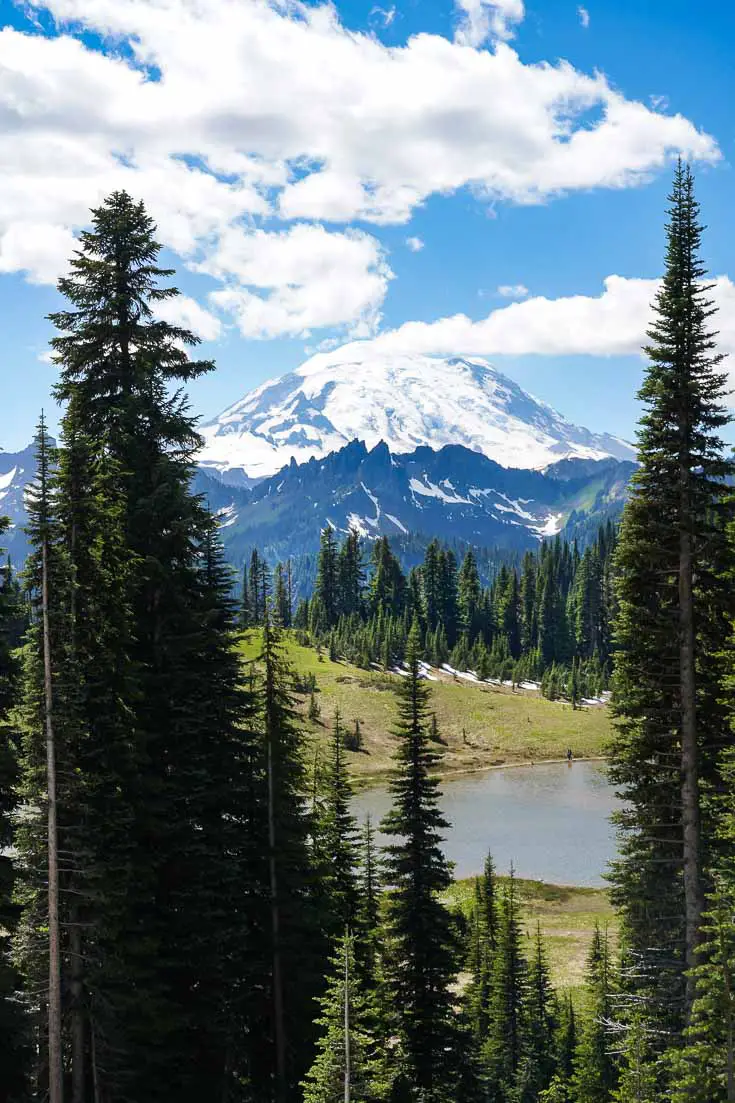 Lake Tipsoo viewed through evergreen forest with Mt Rainier in the background