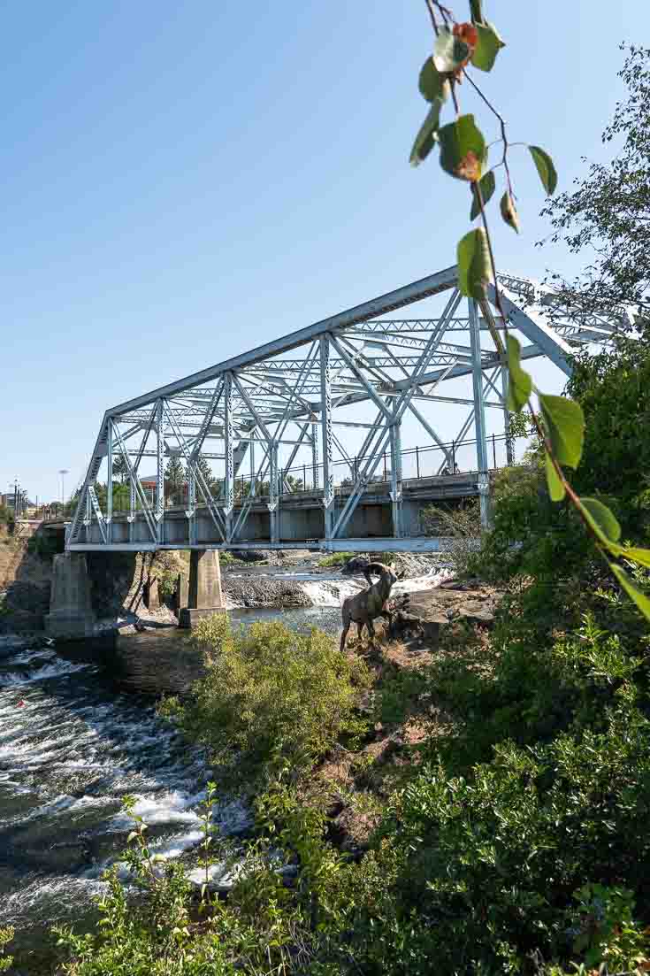 Trestle bridge across Spokane River with wildlife sculpture in foreground