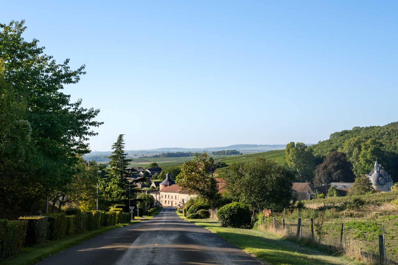 View looking down road to historic village surrounded by vineyards and forest on rolling hills