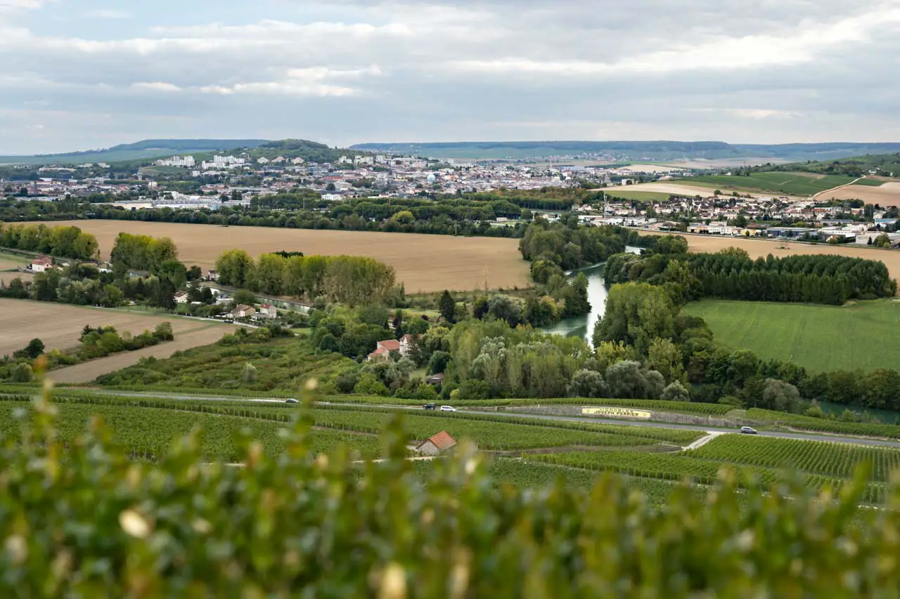 Scenic views over vineyards and the Marne toward Épernay