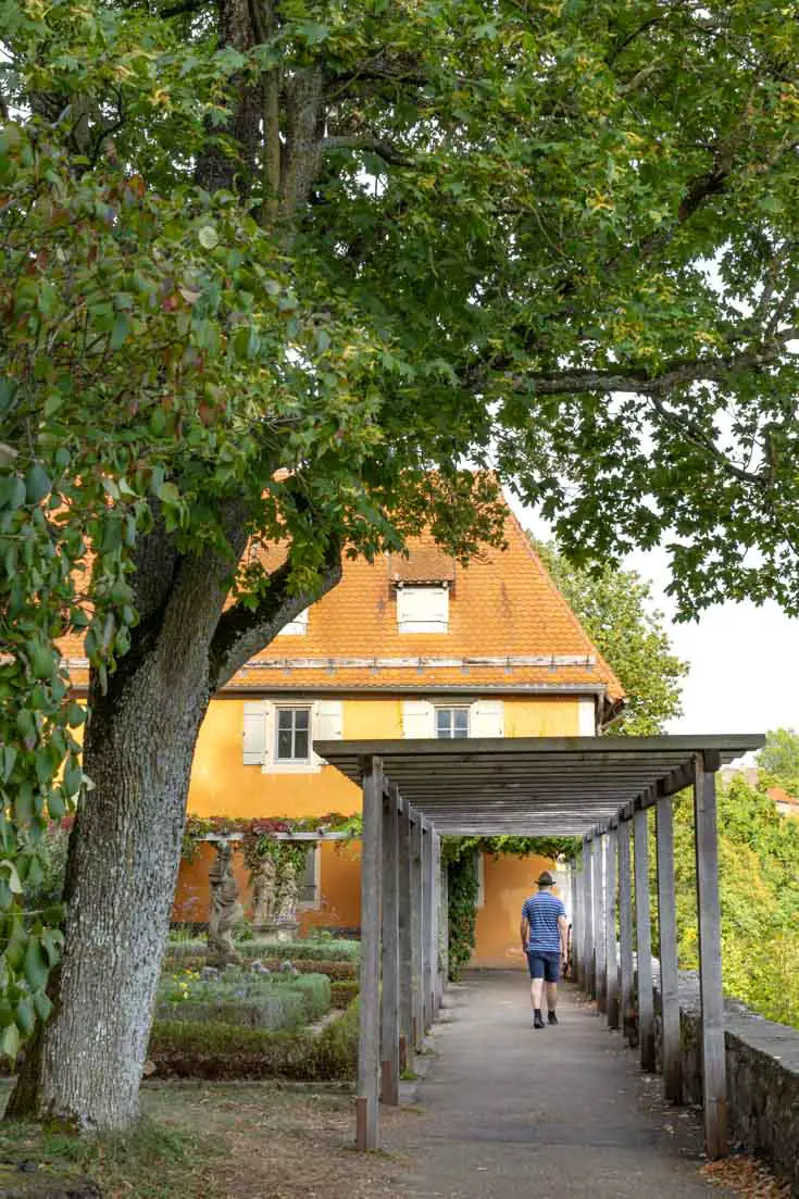 Man wandering through trellised garden walkway framed by a yellow home and large tree