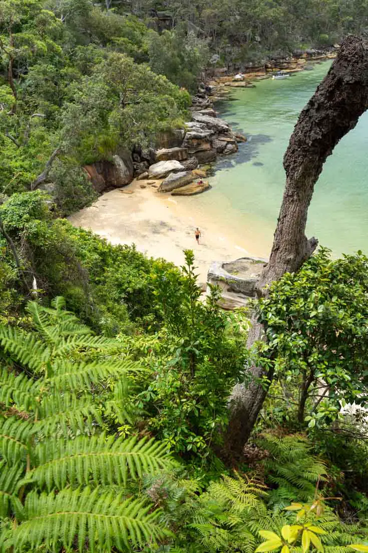 Secluded, sandy beach with greenish water and lush vegetation, viewed from above