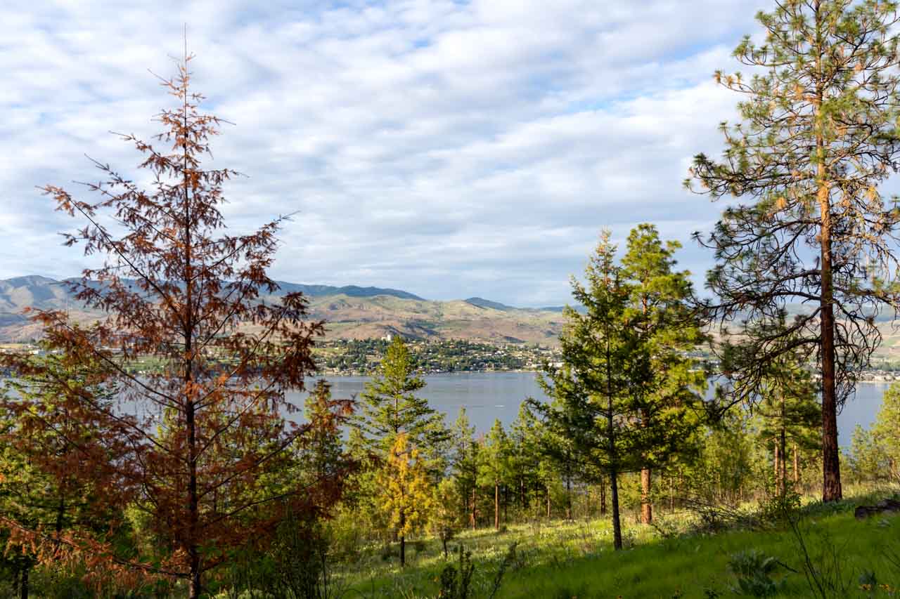 View between trees and across lake to hillside town