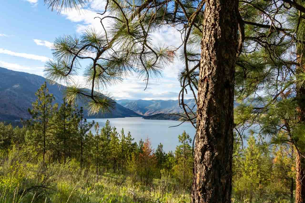 View across large lake with mountains in the distance and ponderosa pines in foreground