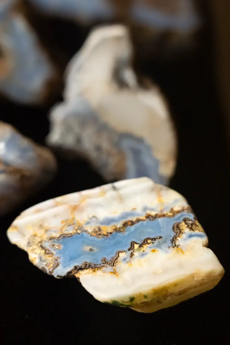 Beautiful blue minerals in a petrified tree specimen 