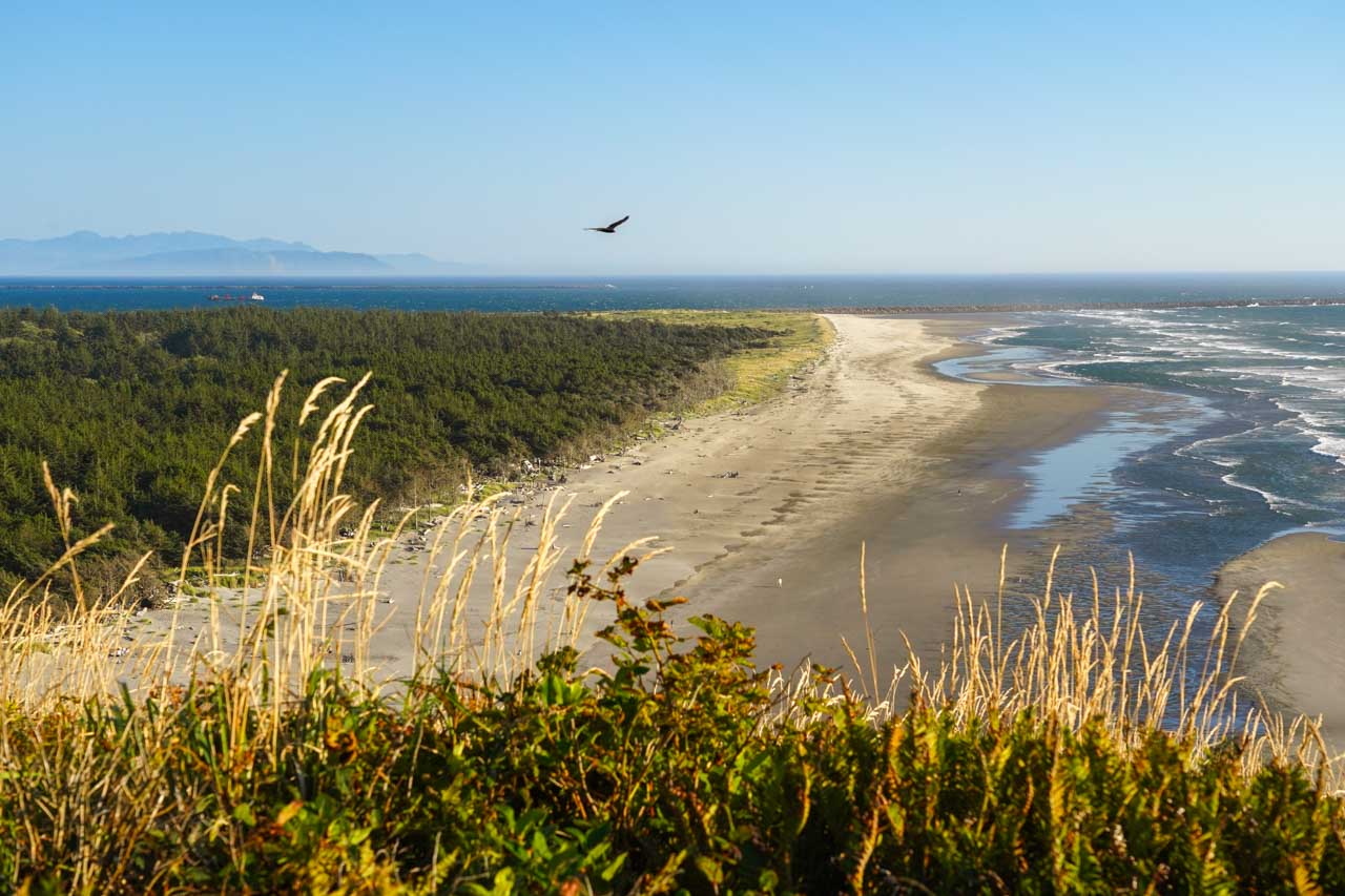 View over sandy beach with large river mouth in background on sunny evening