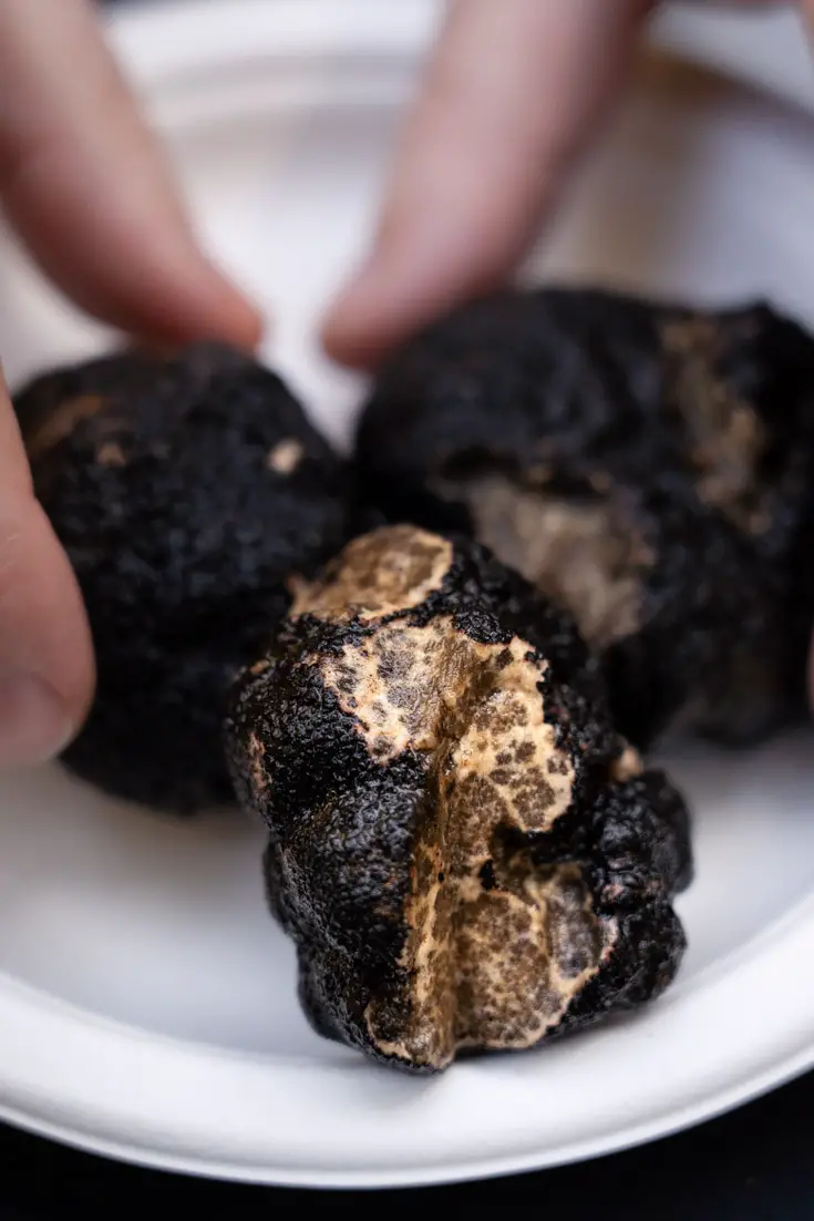 Oregon black truffles being placed on a white plate