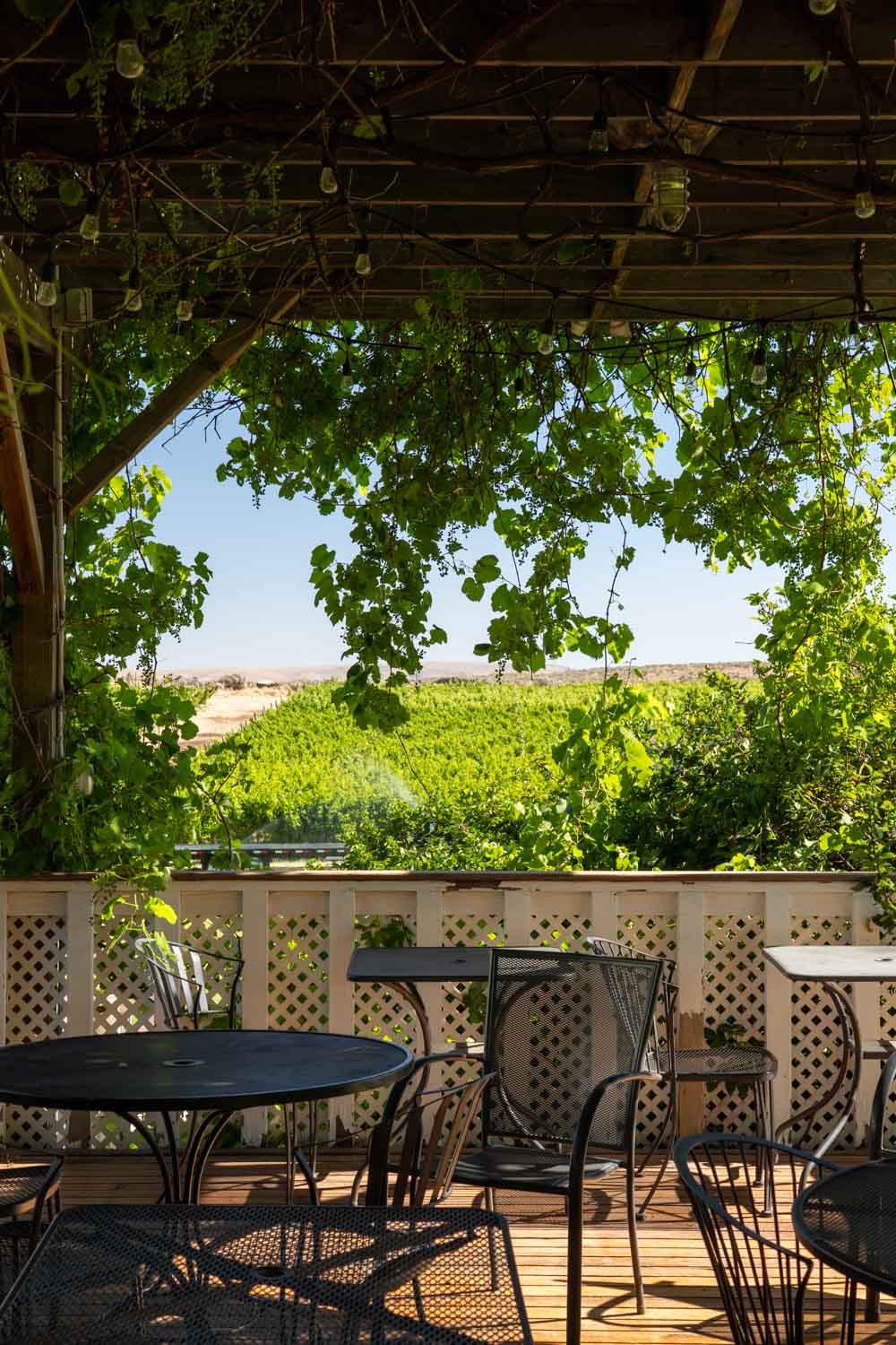 View to vineyard on a sunny day, from the shade of a tasting room patio with tables and chairs