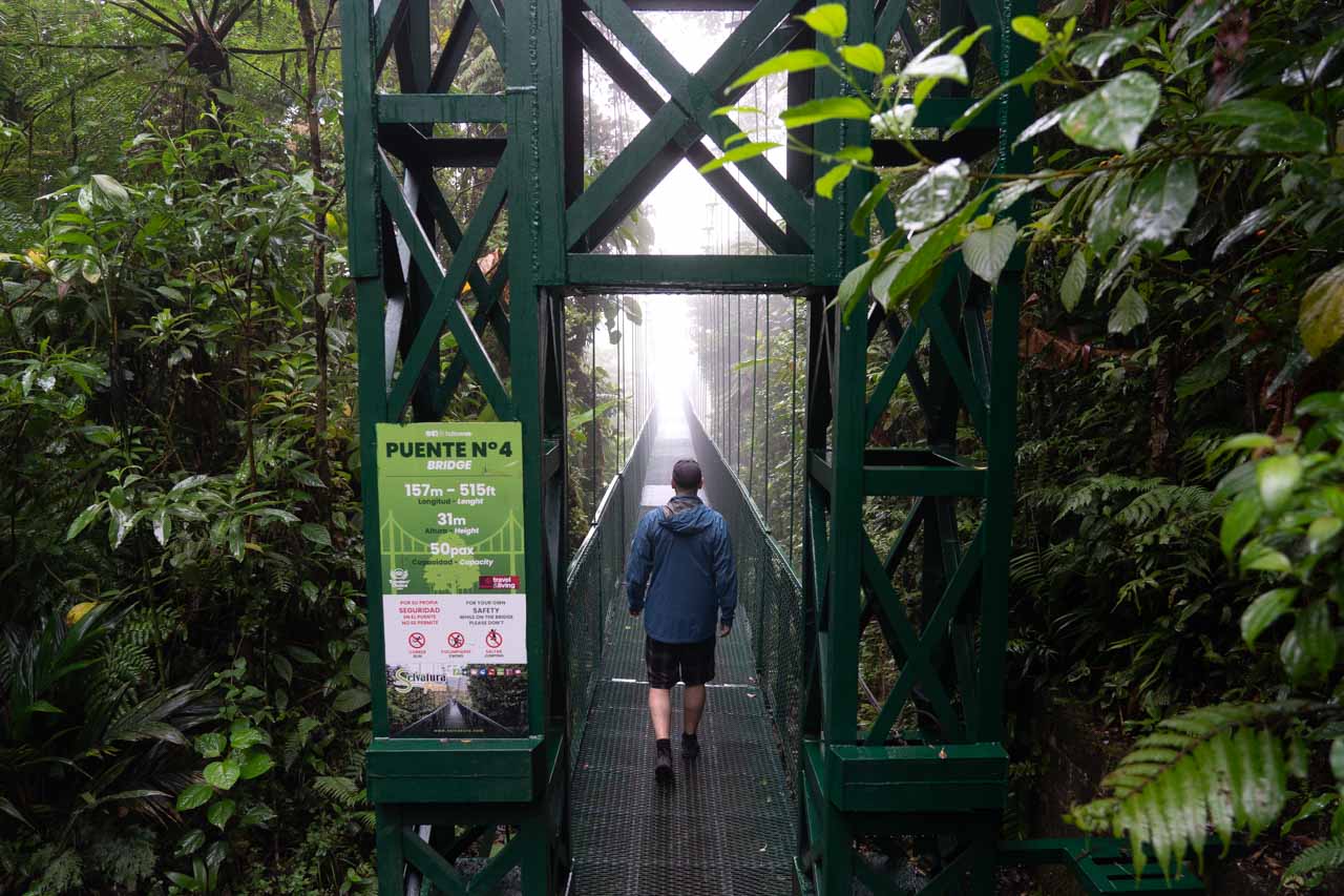 Man entering canopy bridge, walking into the mist