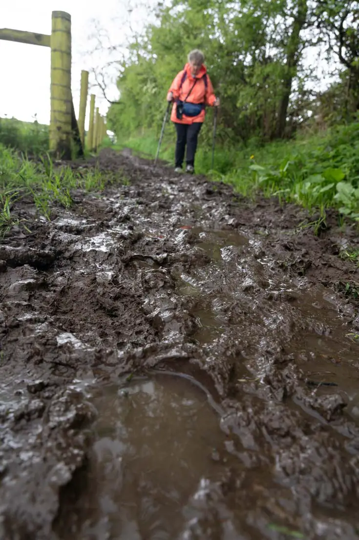 Woman in neon orange, hiking along muddy, waterlogged path