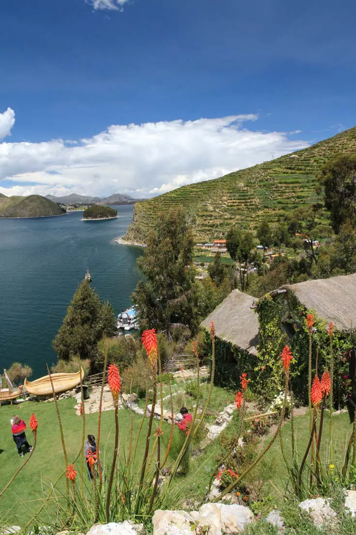 Views across Lake Titicaca from Isla Del Sol on a sunny day with flowers in the foreground
