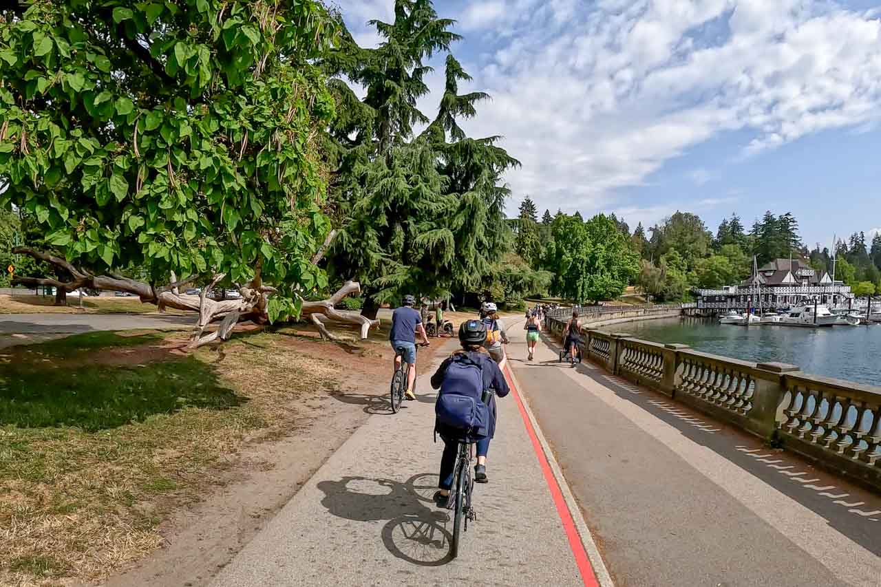 People cycling along waterfront with parkland on one side and marina on the other